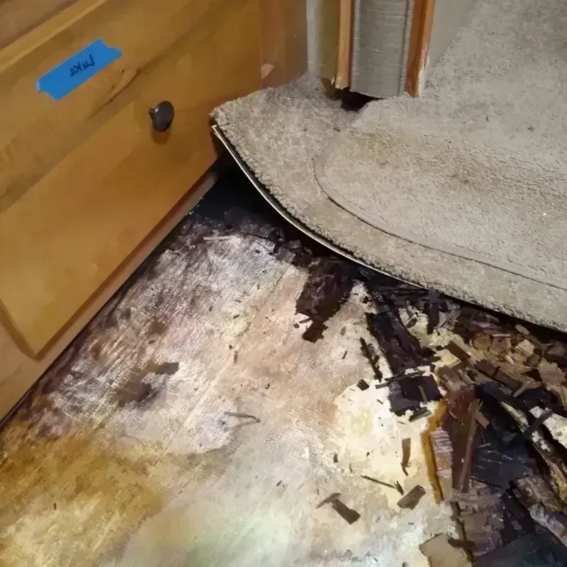 Best Wood Floor Water Damage Service in Carriere, MS